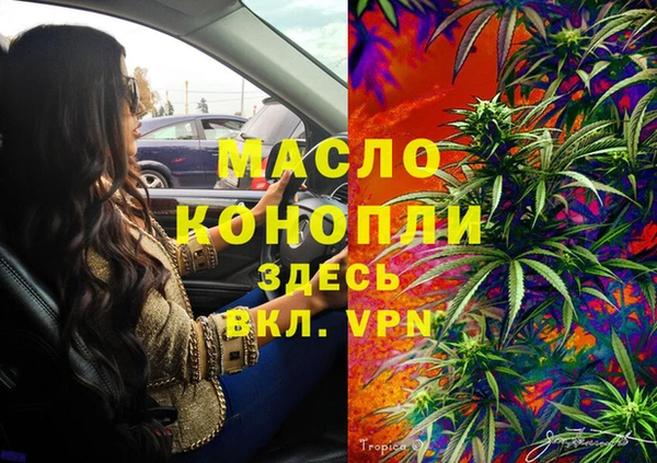 крисы Алексин