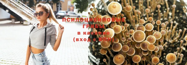 крисы Алексин