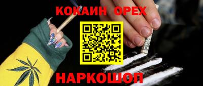 крисы Апшеронск