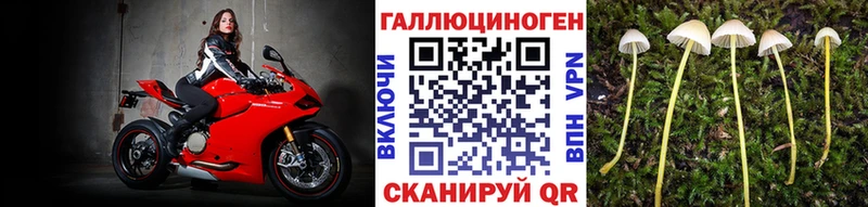 Псилоцибиновые грибы мухоморы  Выкса 
