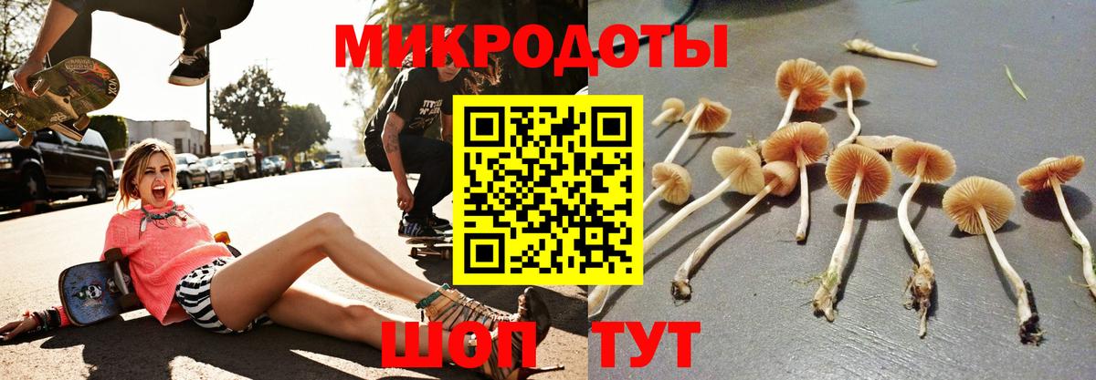 Выкса  Псилоцибиновые грибы Psilocybine cubensis  Вход с VPN 